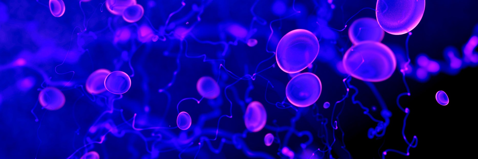 iStock Blue Glowing Cells